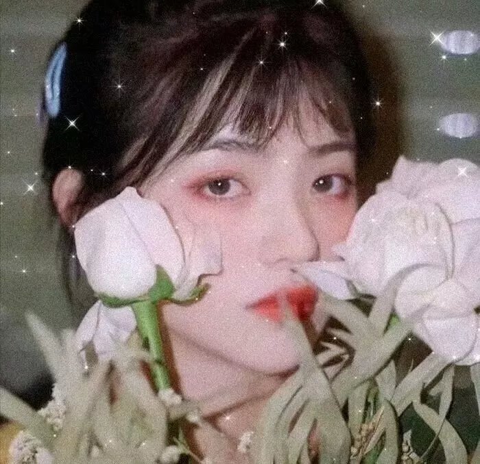 搞上大明星第三季